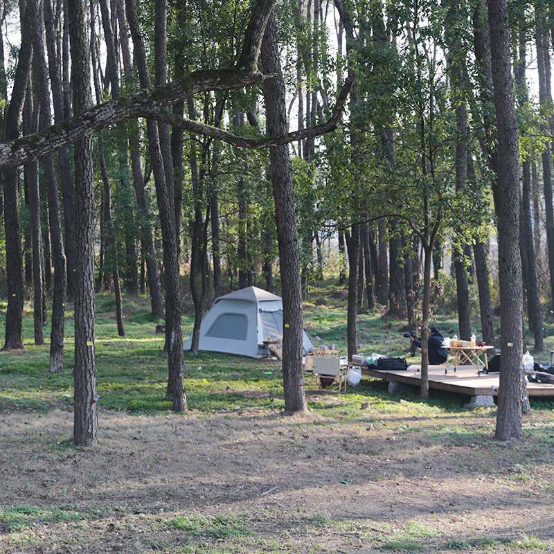 Automatically Quick-Opening Hexagonal Camping Tent